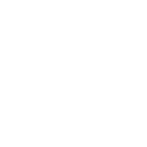 phoneicon